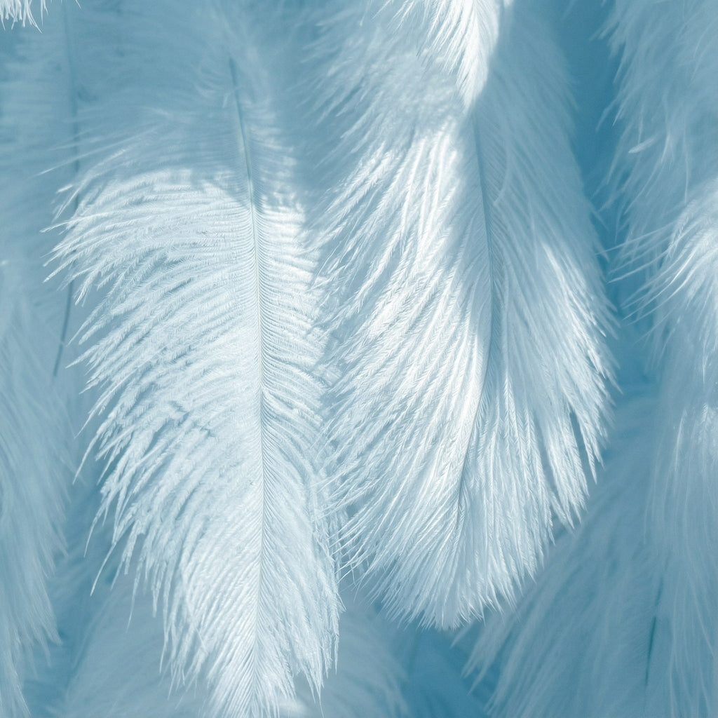 ValarFlowers Light Blue Feather Backdrop VF-164-Baby Blue