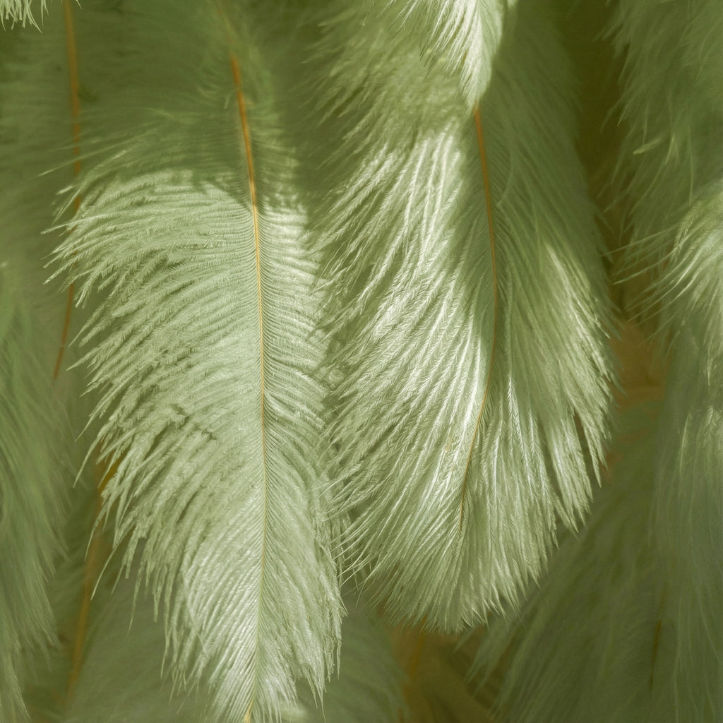 ValarFlowers Mint Green Avocado Feather Backdrop VF-164-Mint Green