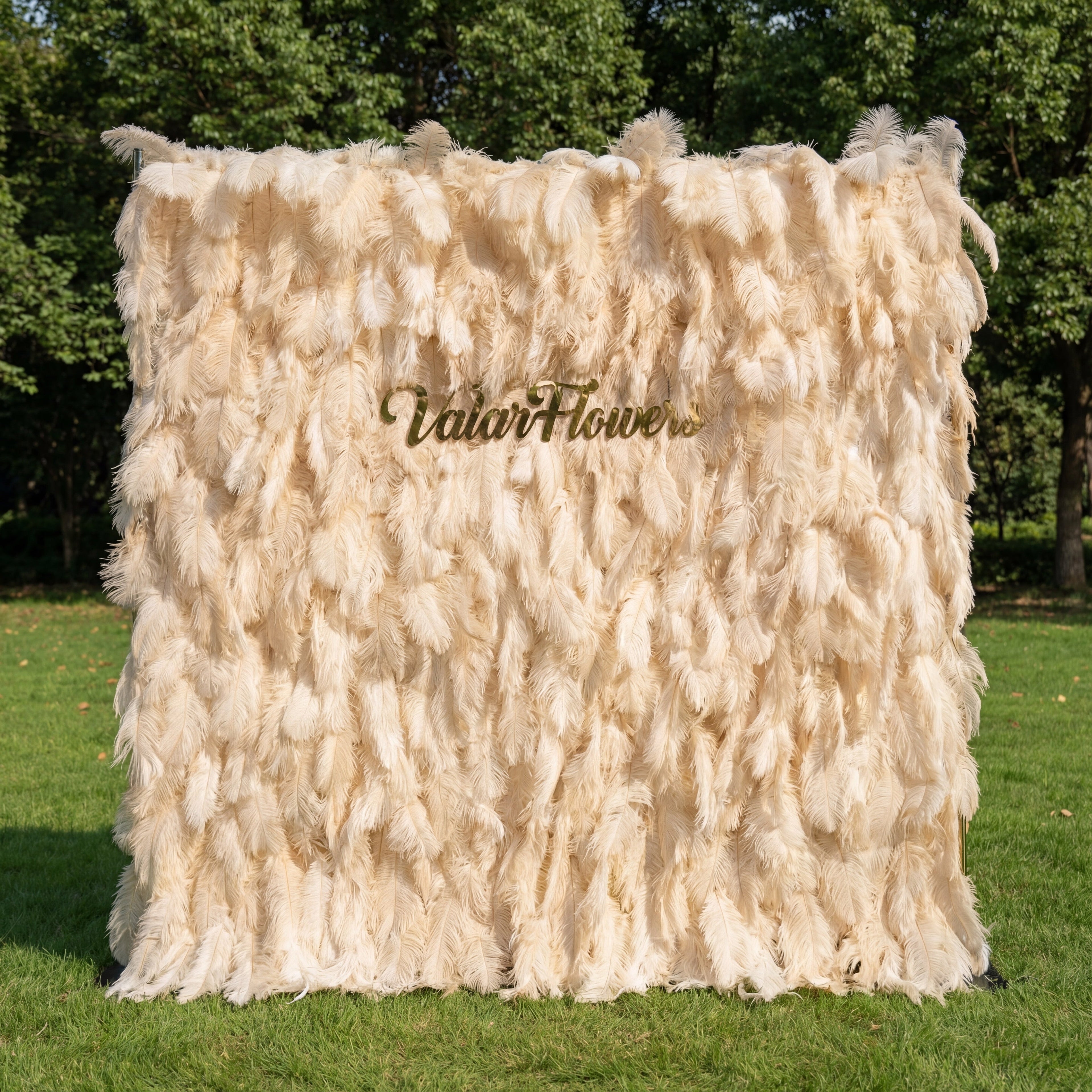 ValarFlowers Champagne Feather Backdrop VF-164-Champagne