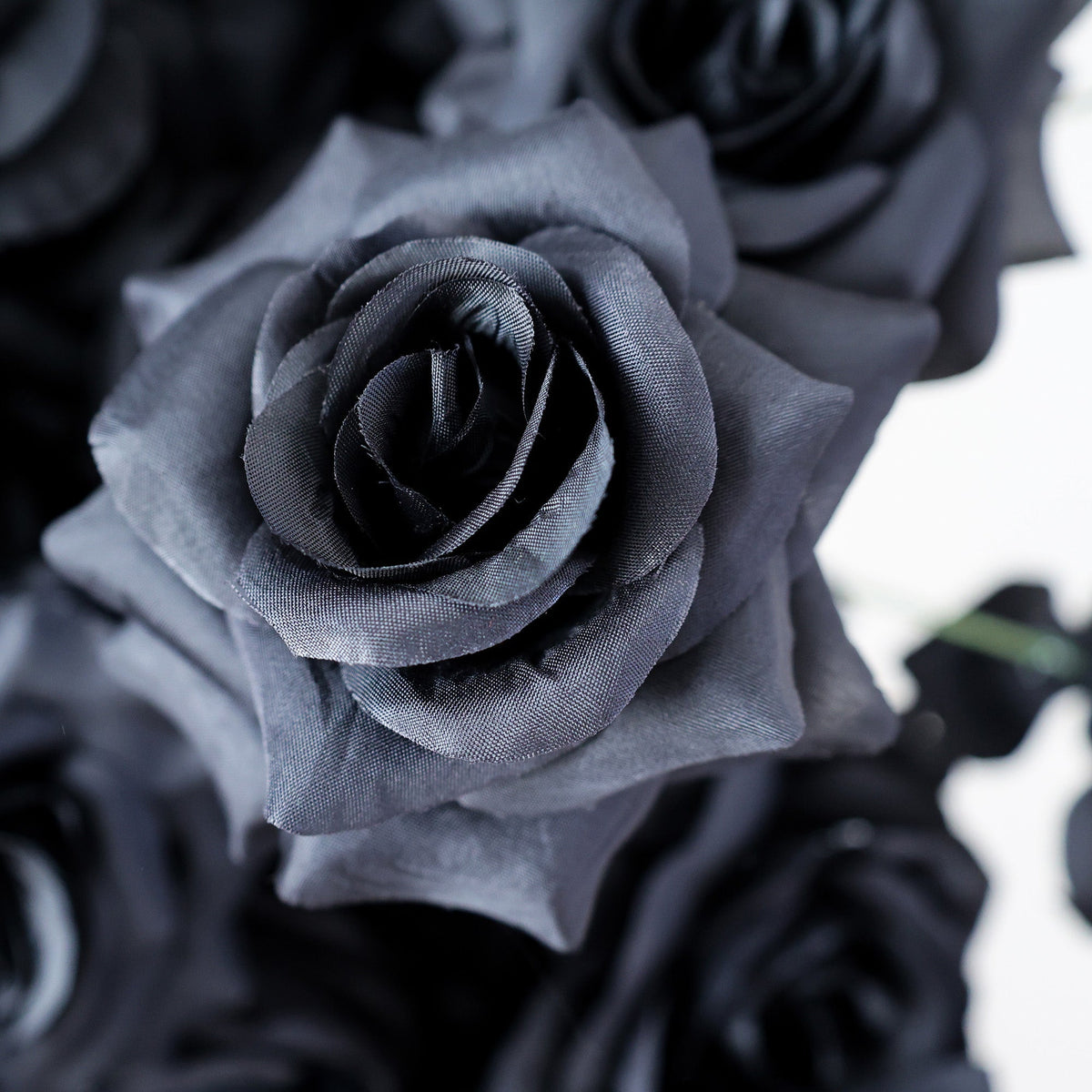 Black White Artificial Floral Roll-Up Backdrop VF-554