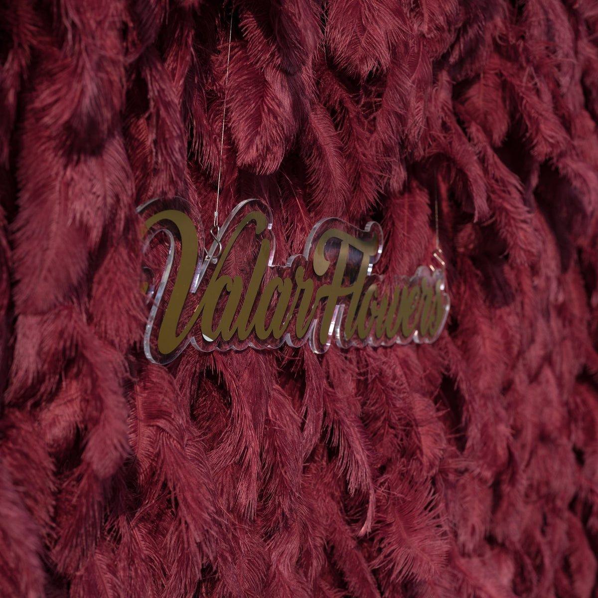 ValarFlowers Burgundy Feather Backdrop VF-164-Burgundy