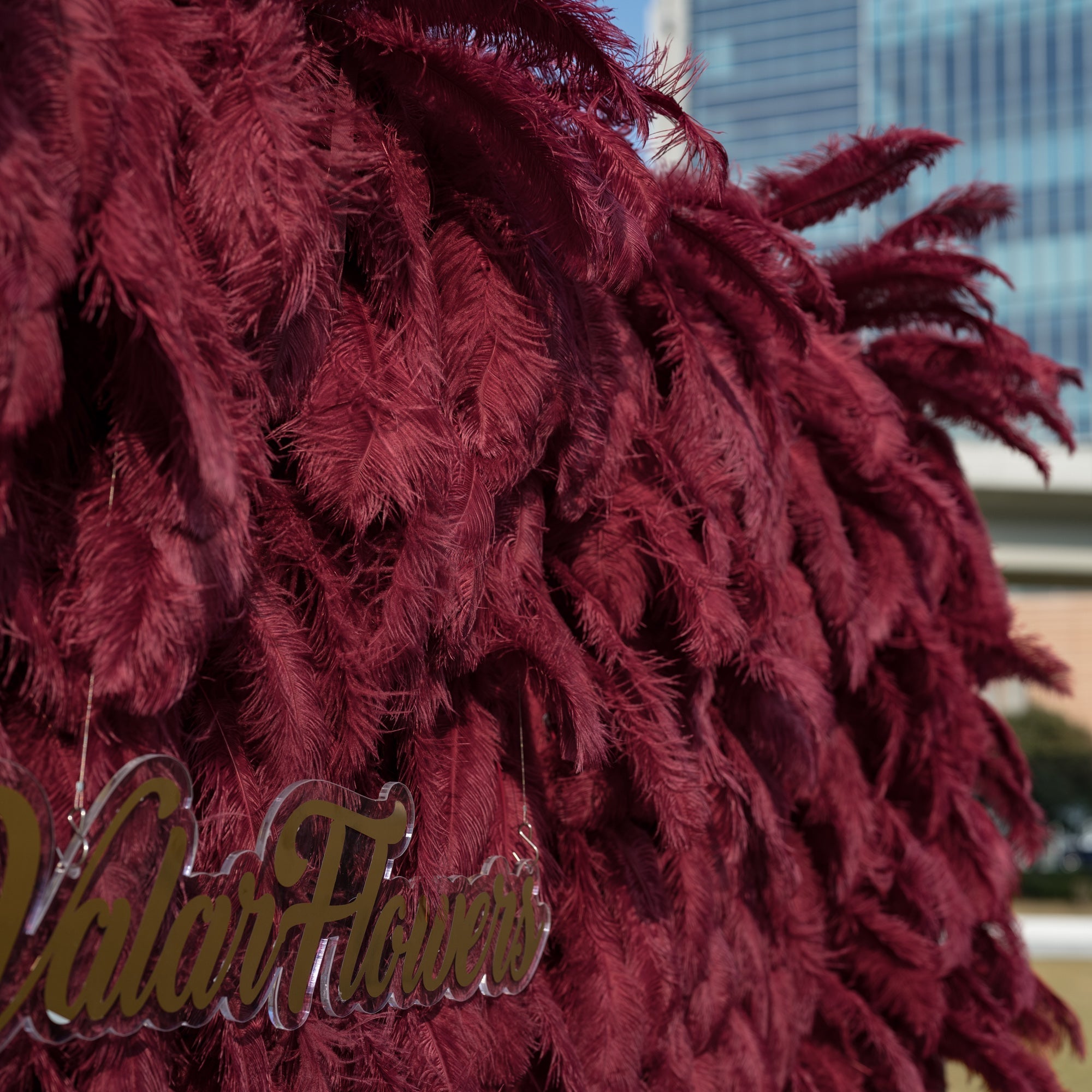 ValarFlowers Burgundy Feather Backdrop VF-164-Burgundy