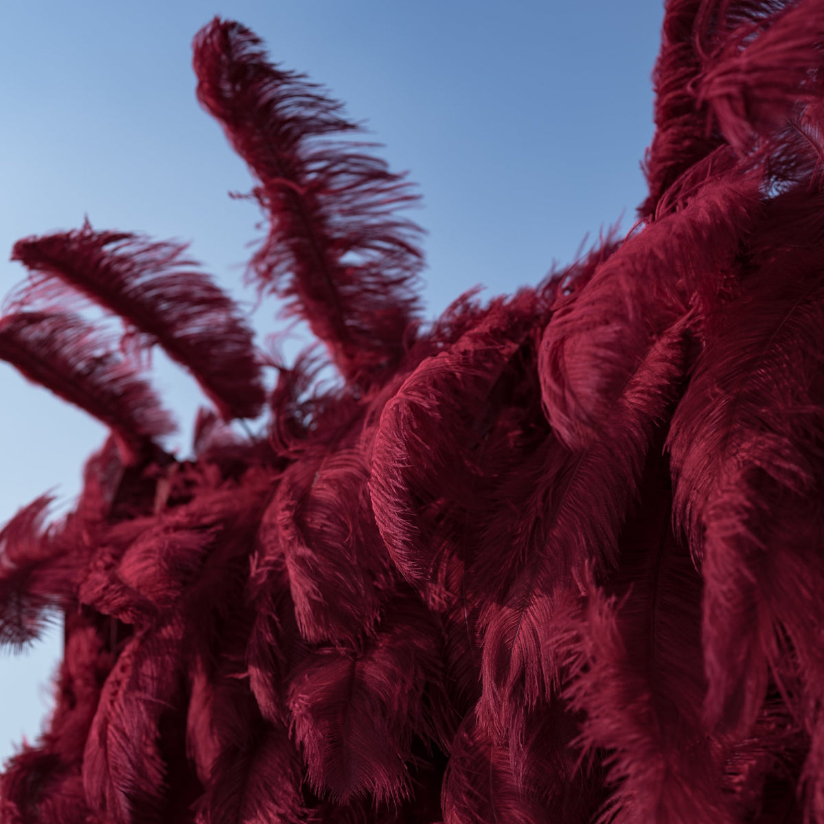 ValarFlowers Burgundy Feather Backdrop VF-164-Burgundy