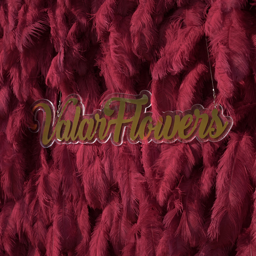 ValarFlowers Burgundy Feather Backdrop VF-164-Burgundy