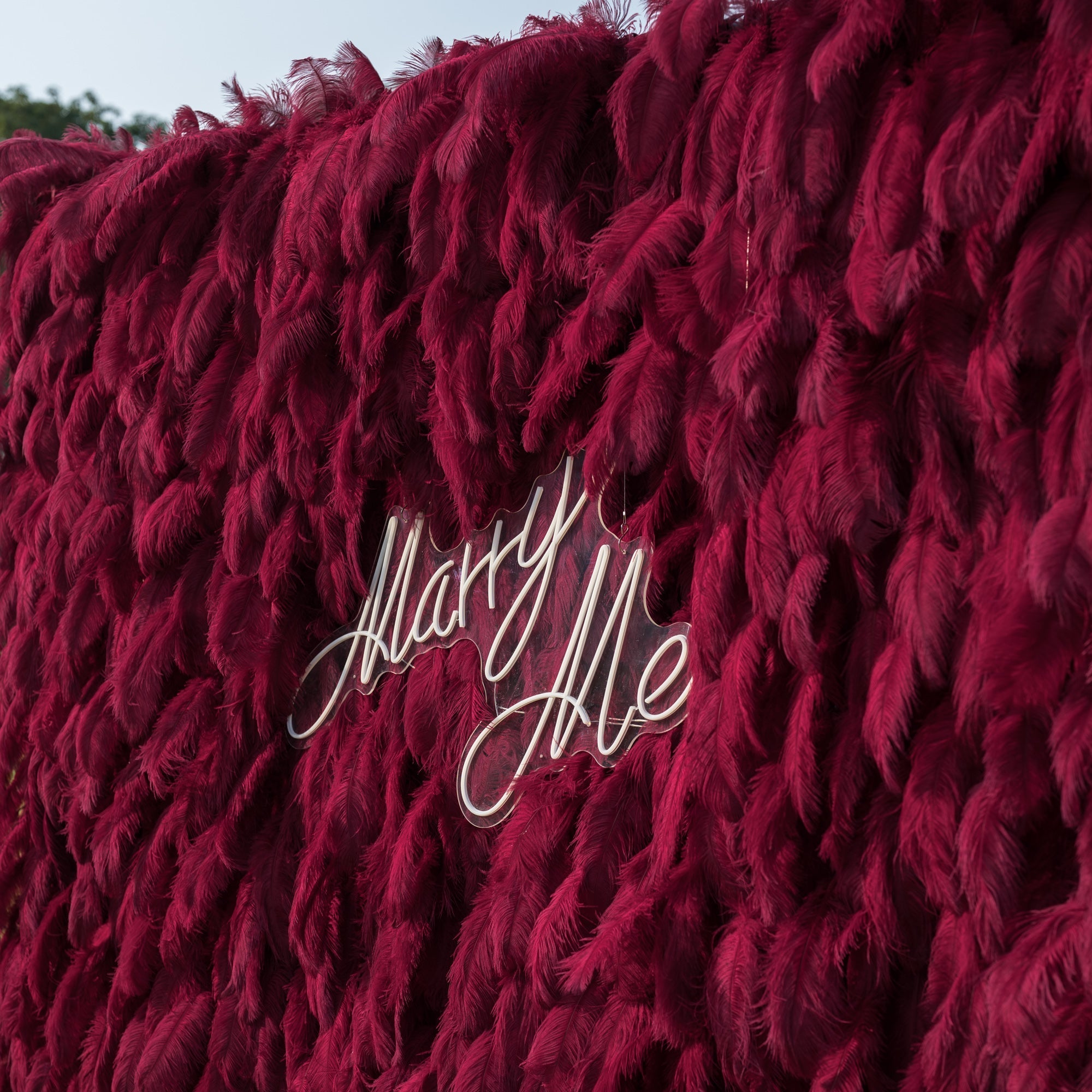 ValarFlowers Burgundy Feather Backdrop VF-164-Burgundy